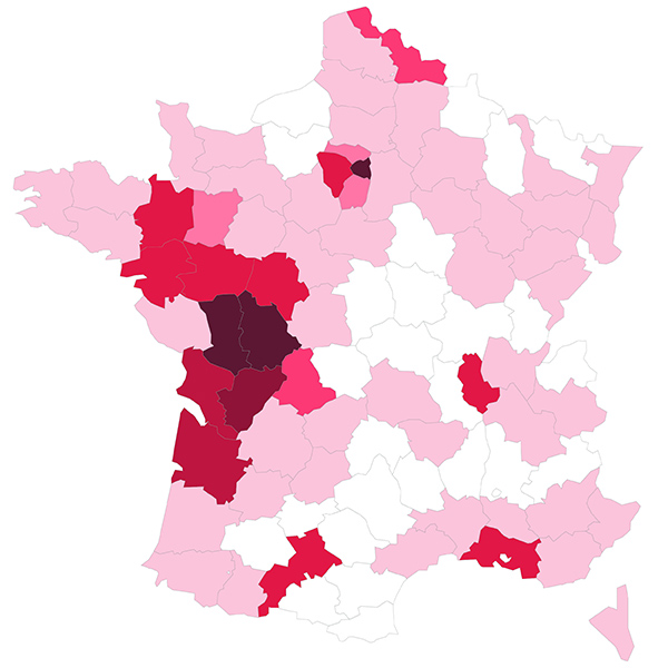 Plus de 6 diplômés sur 10 poursuivent leurs études dans la région Nouvelle-Aquitaine