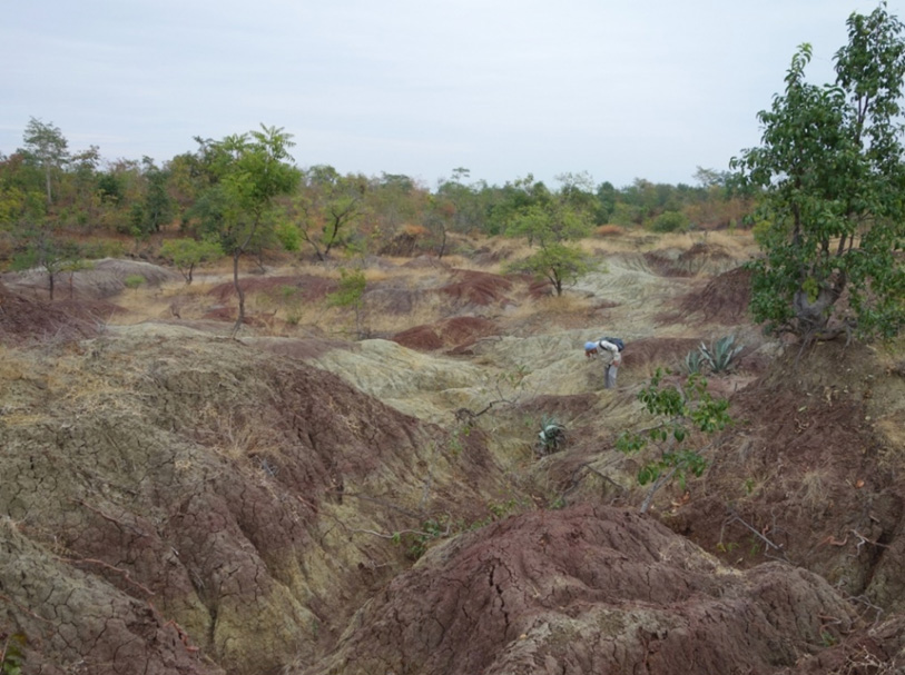Figure 2. Site de Paukkaung Kyitchaung 2 (PK2) dans la formation de Pondaung (Birmanie) où Aseanpithecus a été découvert.