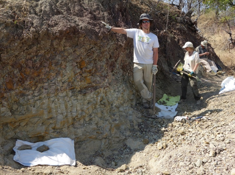 Figure 4. Travail de terrain de l’équipe paléontologique Franco-Birmane. De haut en bas: travail au site d’excavation de la localité PK2, échantillonnage et tri des blocs fossilifères, opérations de tamisage des échantillons séchés.