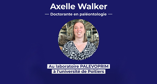 Les mots de sciences : I comme interdisciplinarité