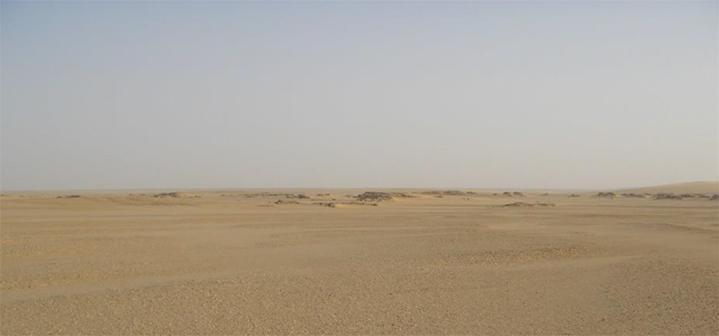 Dans le désert du Djourab