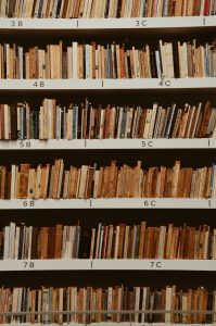 visite bibliothèque