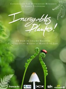 affiche du film incroyables plantes