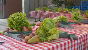 Assortiment de légumes disposés sur une table