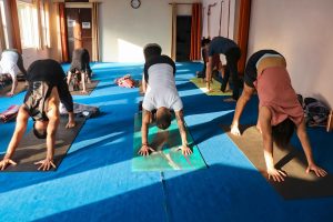 des personnes font du yoga