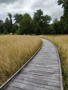 chemin jbu