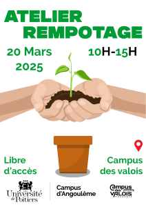 atelier rempotage